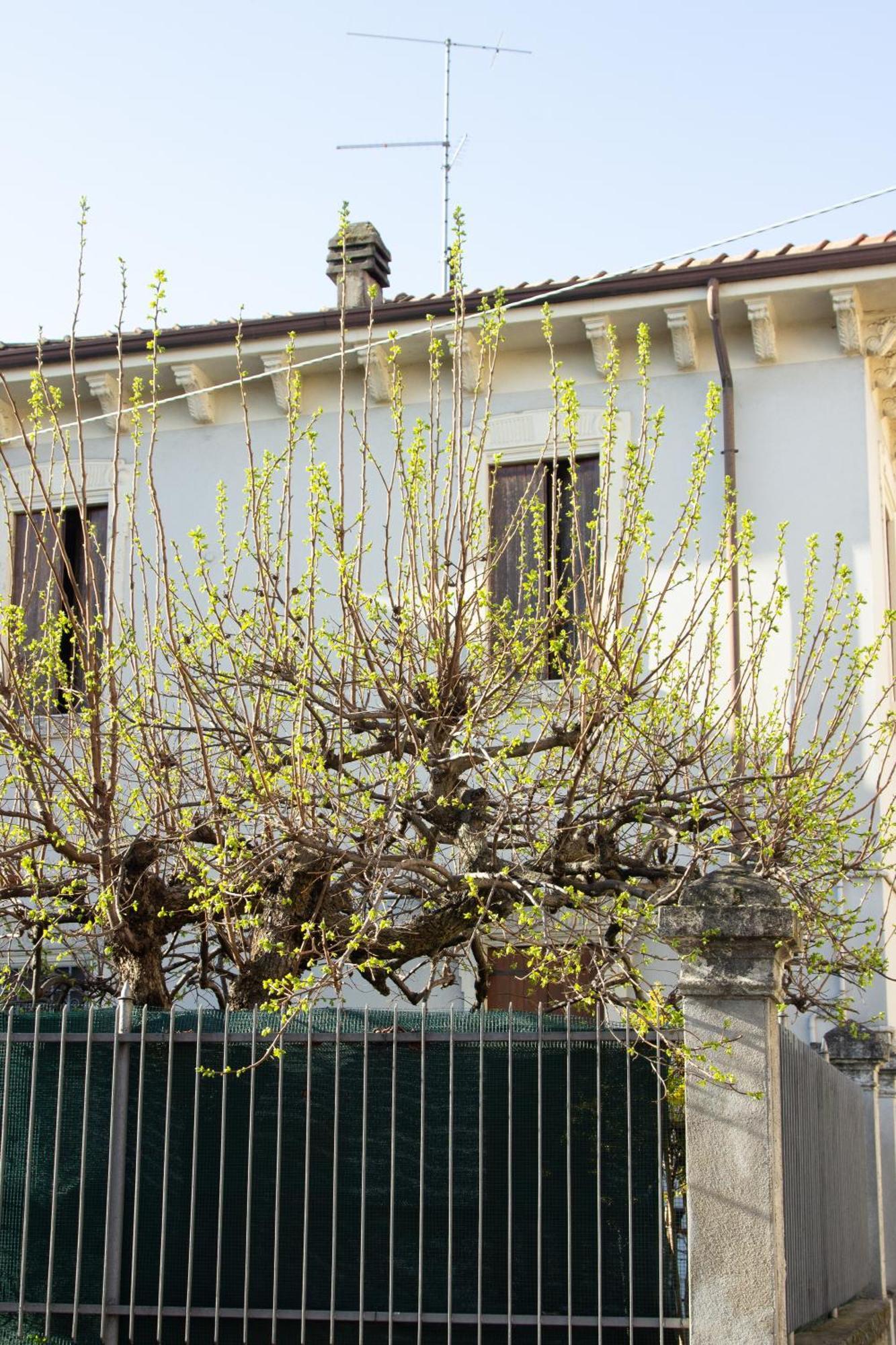 Verona Nest Exterior foto